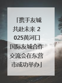 携手友城 共赴未来 2025黄河口国际友城合作交流会在东营市成功举办