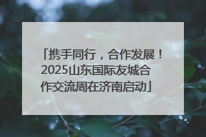 携手同行，合作发展！2025山东国际友城合作交流周在济南启动