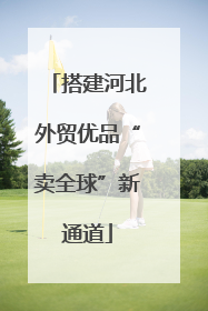 搭建河北外贸优品“卖全球”新通道