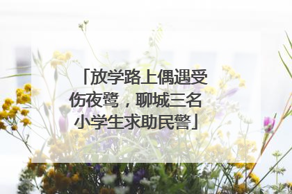 放学路上偶遇受伤夜鹭，聊城三名小学生求助民警