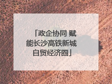 政企协同 赋能长沙高铁新城自贸经济圈