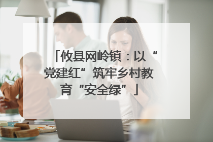 攸县网岭镇：以“党建红”筑牢乡村教育“安全绿”