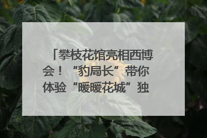 攀枝花馆亮相西博会！“豹局长”带你体验“暖暖花城”独特魅力｜西博视界
