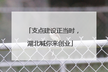 支点建设正当时，湖北喊你来创业