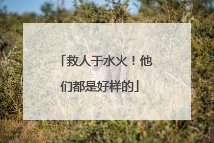 救人于水火！他们都是好样的