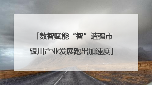 数智赋能“智”造强市 银川产业发展跑出加速度