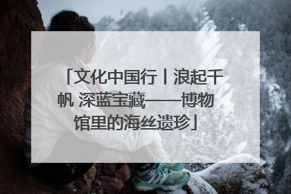 文化中国行丨浪起千帆 深蓝宝藏——博物馆里的海丝遗珍