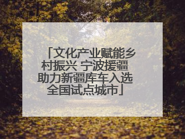 文化产业赋能乡村振兴 宁波援疆助力新疆库车入选全国试点城市