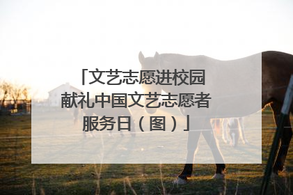 文艺志愿进校园 献礼中国文艺志愿者服务日（图）