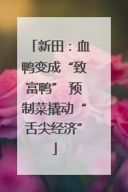新田：血鸭变成“致富鸭” 预制菜撬动“舌尖经济”