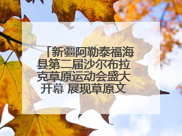 新疆阿勒泰福海县第二届沙尔布拉克草原运动会盛大开幕 展现草原文化魅力