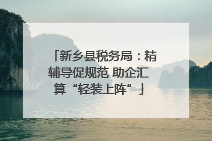 新乡县税务局：精辅导促规范 助企汇算“轻装上阵”