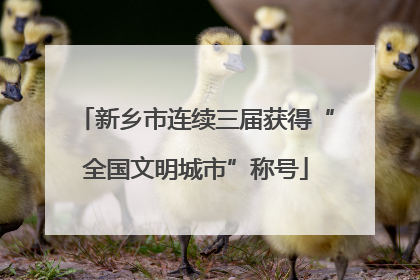 新乡市连续三届获得“全国文明城市”称号