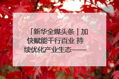 新华全媒头条｜加快赋能千行百业 持续优化产业生态——浙江推动人工智能健康有序发展观察