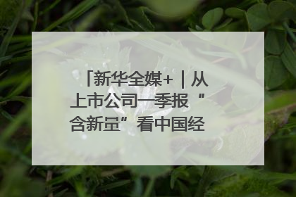 新华全媒+｜从上市公司一季报“含新量”看中国经济发展向“新”