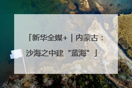 新华全媒+｜内蒙古：沙海之中建“蓝海”