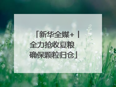 新华全媒+丨全力抢收夏粮 确保颗粒归仓