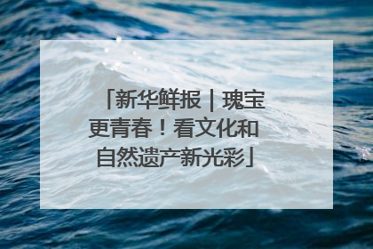 新华鲜报｜瑰宝更青春！看文化和自然遗产新光彩