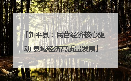 新平县：民营经济核心驱动 县域经济高质量发展