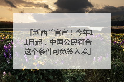 新西兰官宣！今年11月起，中国公民符合这个条件可免签入境