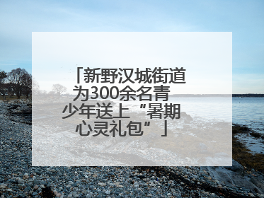 新野汉城街道为300余名青少年送上“暑期心灵礼包”