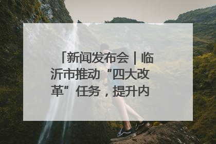 新闻发布会｜临沂市推动“四大改革”任务，提升内部审计监督效能