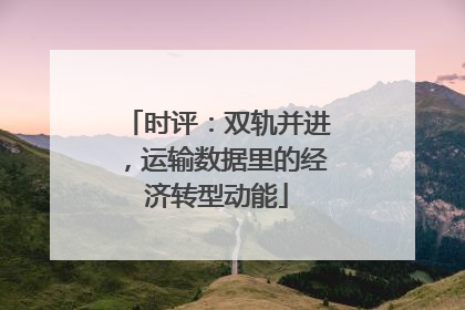 时评：双轨并进，运输数据里的经济转型动能
