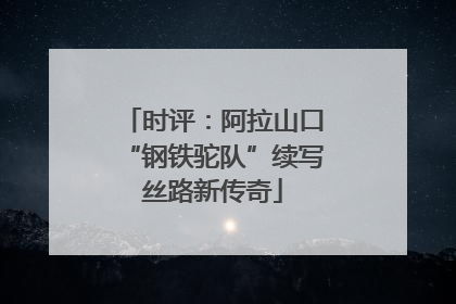 时评：阿拉山口“钢铁驼队”续写丝路新传奇