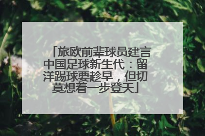 旅欧前辈球员建言中国足球新生代：留洋踢球要趁早，但切莫想着一步登天
