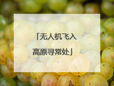 无人机飞入高原寻常处
