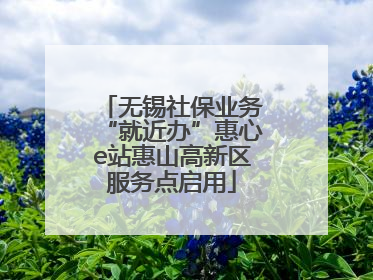 无锡社保业务“就近办”惠心e站惠山高新区服务点启用