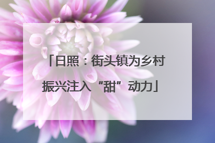 日照：街头镇为乡村振兴注入“甜”动力