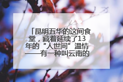昆明五华的这间食堂，藏着延续了13年的“人世间”温情——有一种叫云南的生活之365天