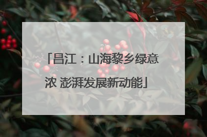 昌江：山海黎乡绿意浓 澎湃发展新动能