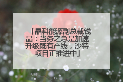 晶科能源副总裁钱晶：当务之急是加速升级既有产线，沙特项目正推进中