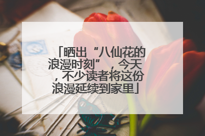 晒出“八仙花的浪漫时刻”，今天，不少读者将这份浪漫延续到家里