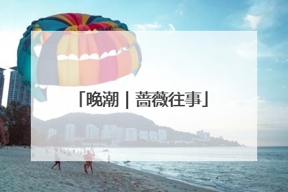 晚潮｜蔷薇往事
