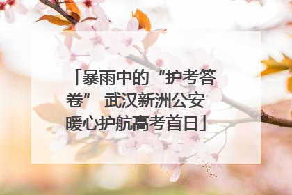 暴雨中的“护考答卷” 武汉新洲公安暖心护航高考首日