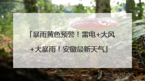 暴雨黄色预警！雷电+大风+大暴雨！安徽最新天气