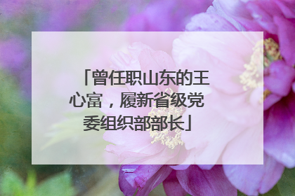 曾任职山东的王心富，履新省级党委组织部部长