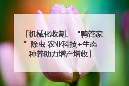 机械化收割、“鸭管家”除虫 农业科技+生态种养助力增产增收