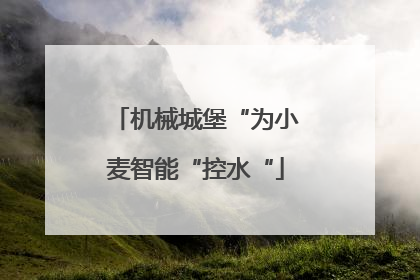 机械城堡“为小麦智能“控水“