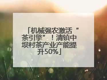 机械强农激活“茶引擎”！清镇中坝村茶产业产能提升50%