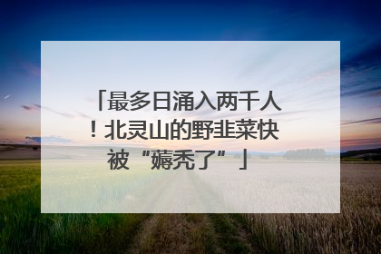 最多日涌入两千人！北灵山的野韭菜快被“薅秃了”