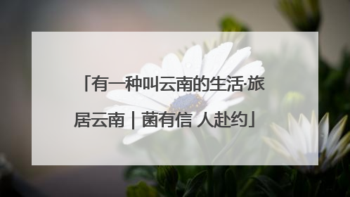 有一种叫云南的生活·旅居云南｜菌有信 人赴约