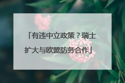有违中立政策？瑞士扩大与欧盟防务合作