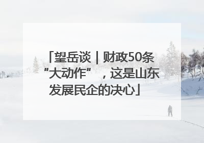 望岳谈｜财政50条“大动作”，这是山东发展民企的决心