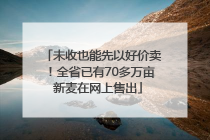 未收也能先以好价卖！全省已有70多万亩新麦在网上售出