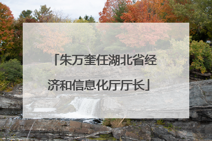 朱万奎任湖北省经济和信息化厅厅长