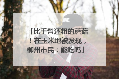 比手臂还粗的蘑菇！在玉米地被发现，柳州市民：能吃吗